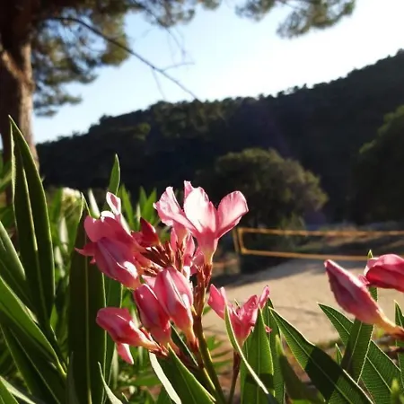 4 Zimmerhaus By Interhome Tatil Evi *