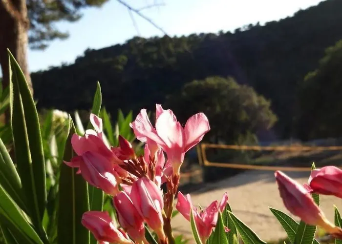 4 Zimmerhaus By Interhome Hébergement de vacances *